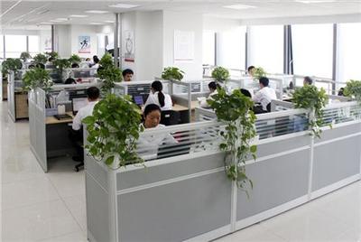 山東正舟 濱州網(wǎng)站制作的專(zhuān)業(yè)技術(shù)咨詢與方案制定